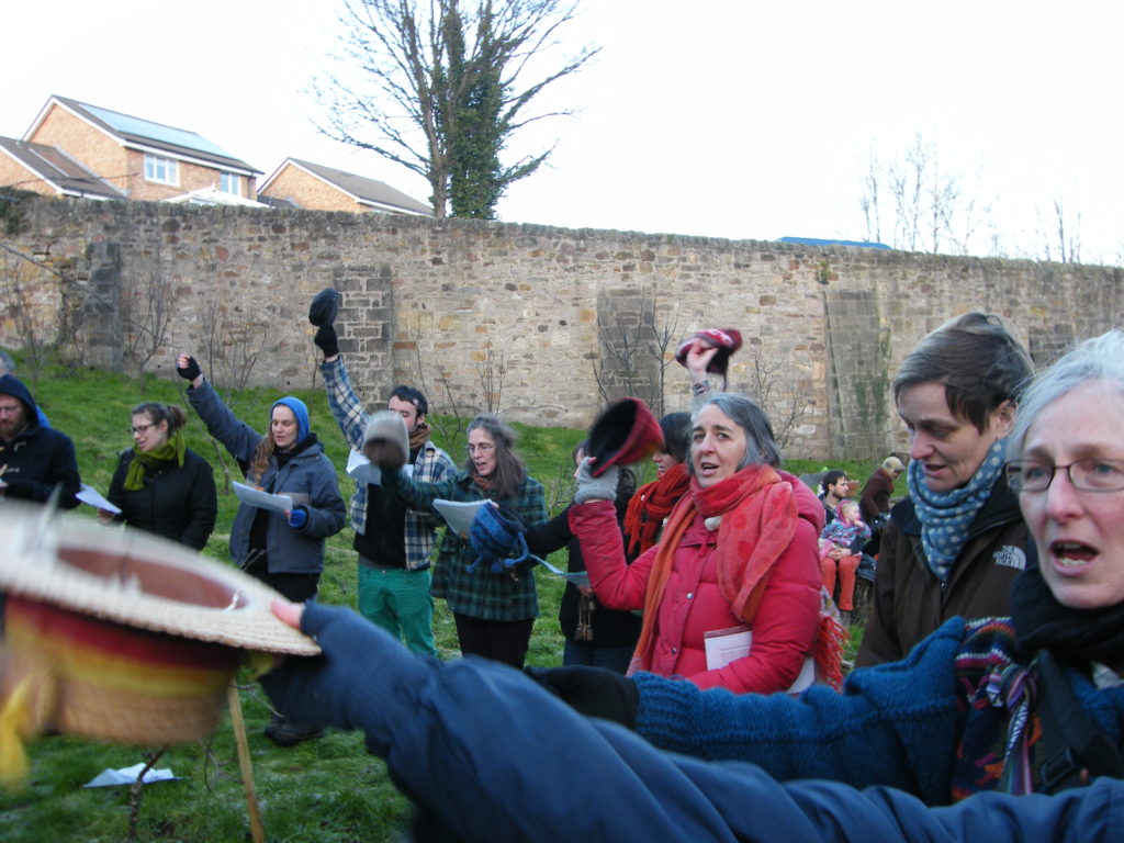 Wassailing the trees
